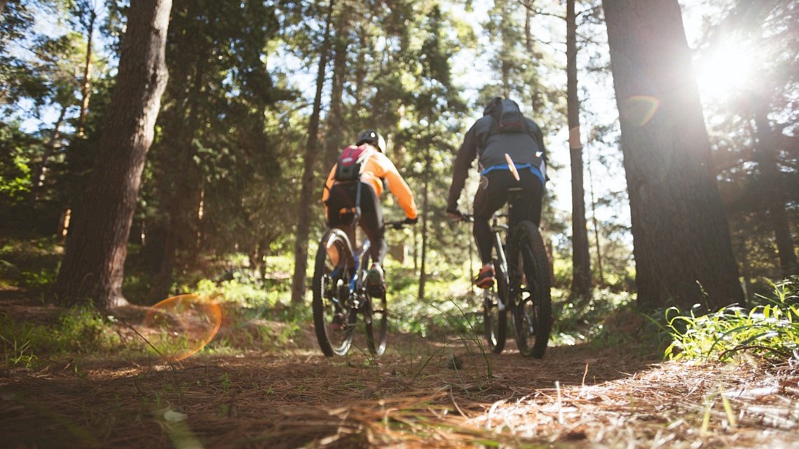 mountainbikers