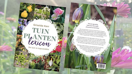 Tuinplanten lexion