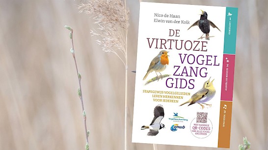 Virtuoze vogelzanggids