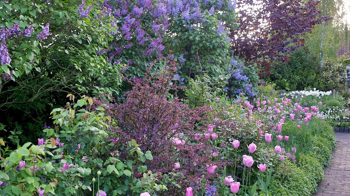 De Tuinerie adviseert over een tuin met veel afwisseling die vroeg in bloei staat.