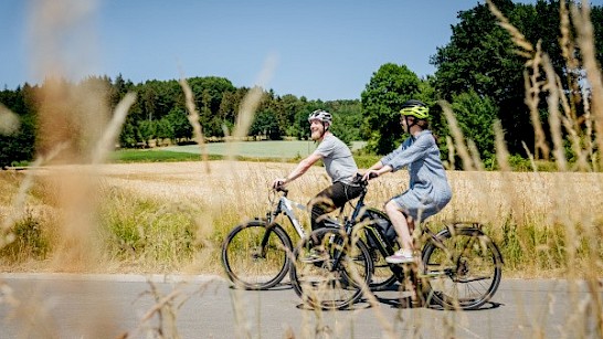 60-jarige stedenband bekroond met fietsroute