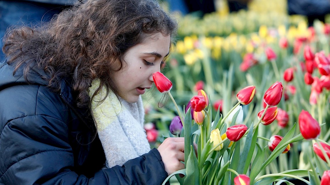 Nationale Tulpendag 2024