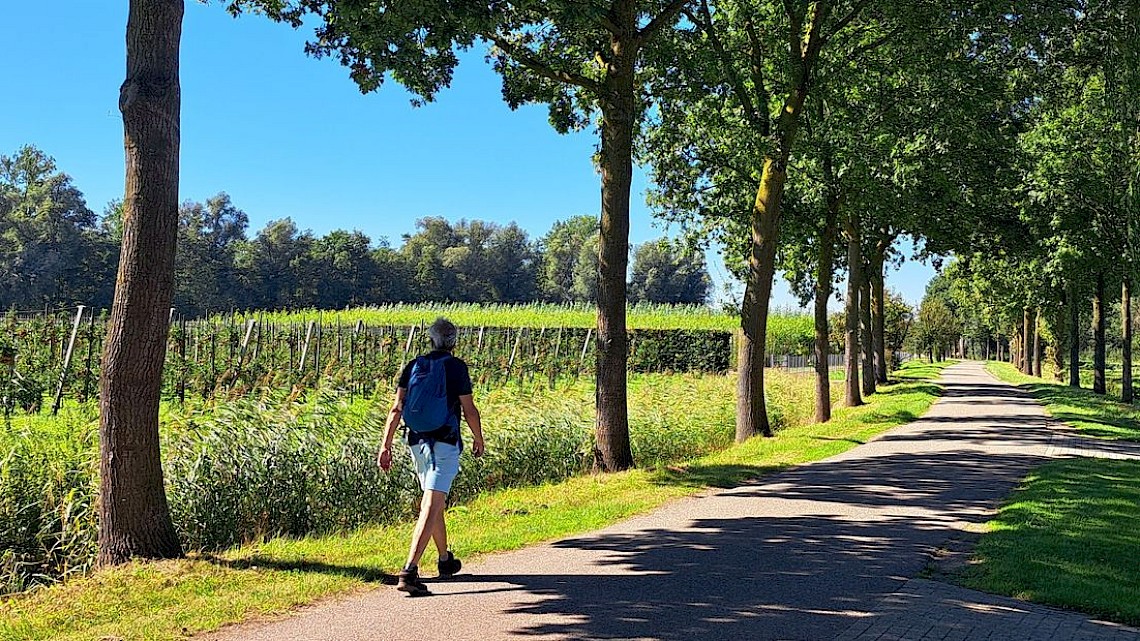 Klaas bewandelt Het Hiensepad in Dodewaard