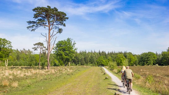 Fietsen in Gelderland