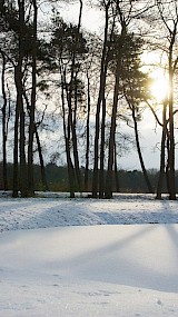 winters zonnetje (geüpload door saartje)