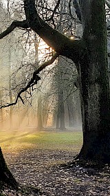 Paleispark het Loo, Apeldoorn (geüpload door Carla Noltes)